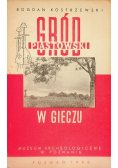 Gród Piastowski w Gieczu