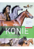 Konie. Ilustrowany przewodnik
