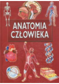 Anatomia człowieka