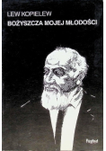 Bożyszcza mojej młodości