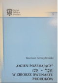 Ogień pożerający W zbiorze dwunastu proroków