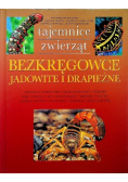Tajemnice zwierząt Bezkręgowce jadowite i drapieżne