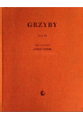 Grzyby Tom VII