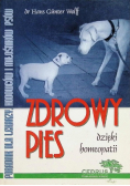 Zdrowy pies dzięki homeopatii