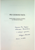 Pro cicerone poeta