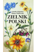 Zielnik polski