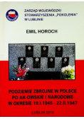 Horoch Podziemie Zbrojne W Polsce Po Ak Owskie