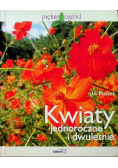 Kwiaty jednoroczne i dwuletnie