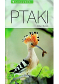 Ptaki