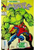 The amazing Spiderman Nr 6 / 96