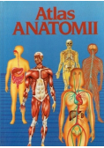 Atlas anatomii