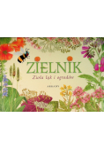 Zielnik Zioła łąk i ogrodów