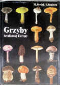 Grzyby środkowej Europy