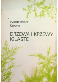 Drzewa i krzewy iglaste