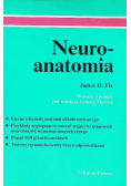 Neuroanatomia