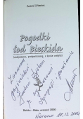 Pogodki łod Bieskida