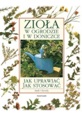 Zioła w ogrodzie w doniczce