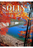 Solina