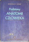 Podstawy anatomii człowieka