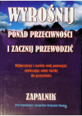 Wyrośnij ponad przeciwności i zacznij przewodzić