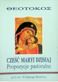 Cześć Maryi dzisiaj propozycje pastoralne
