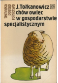Chów owiec w gospodarstwie specjalistycznym