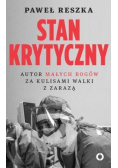 Stan krytyczny