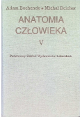 Anatomia człowieka Tom V