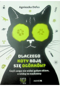 Dlaczego koty boją się ogórków?