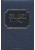 Druidzi