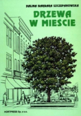 Drzewa w mieście