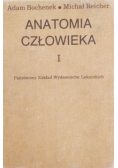 Anatomia człowieka Tom I