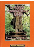Puszcze Kamieniecka i Biała