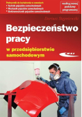 Bezpieczeństwo pracy w przedsiębiorstwie samochodowym. Podręcznik