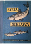 Sieja i SIelawa