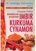 Imbir kurkuma cynamon aromatyczne przyprawy