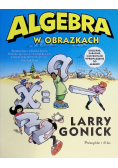 Algebra w obrazkach