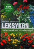 Leksykon roślin doniczkowych i balkonowych