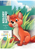 Kolory natury. Zagadkowe rysunki. Disney