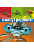 Owady i pajączki