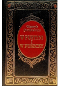 W pustyni i w puszczy TW IBIS