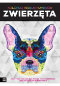 Koloruj według numerów Zwierzęta
