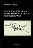 Dzicy z naszej ulicy antropologia kultury młodzieżowej