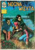 Nocna Wizyta