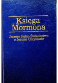 Księga Mormona Jeszcze jedno świadectwo o Jezusie Chrystusie