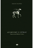 Aforyzmy z Zurau