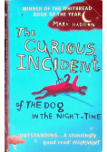 The Curious Incident of the Dog in Night-Time