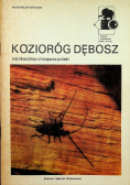 Kozioróg Dębosz najokazalszy chrząszcz polski