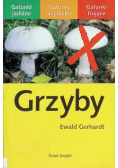 Grzyby