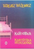 Kartoteka rozrzucona